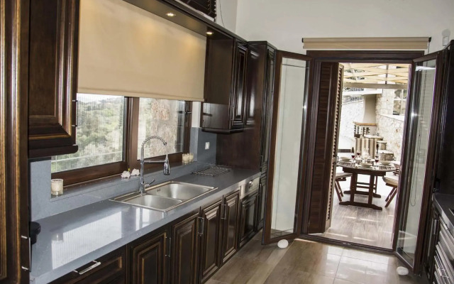 Luxurious Villa Kastro