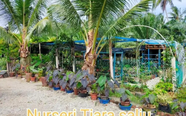 MyDesaStay