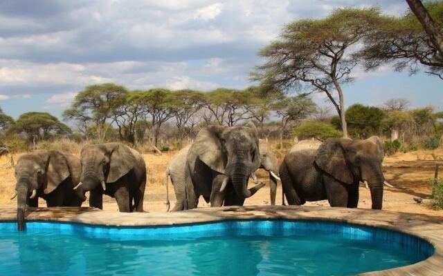 Elephant Lodge