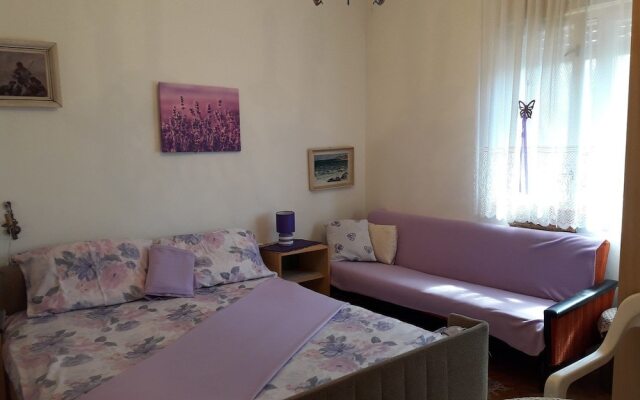 Apartments Luić 4244