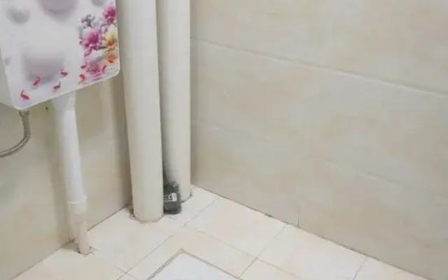 Nanning Xiyangyang B&B