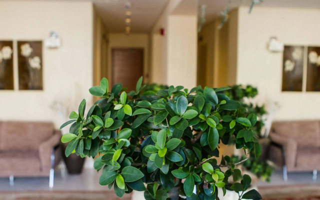 Bellevue On The Beach Suites