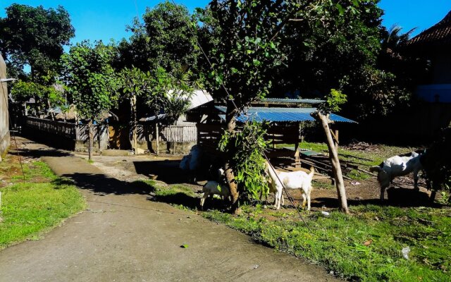 Teras Lombok Bungalow