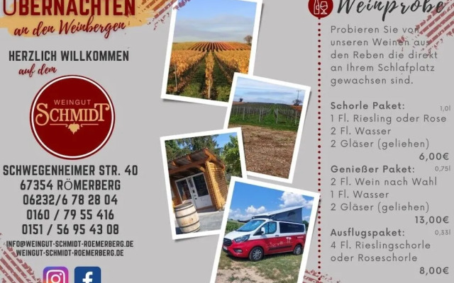 Romantik zwischen Weinreben - Cube