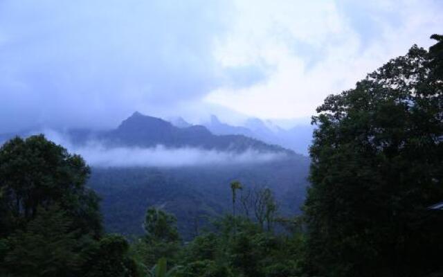 Sattva The Awakening Garden