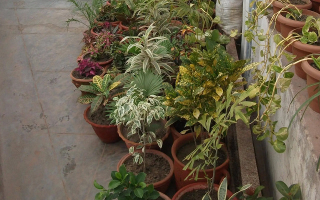 Shanti Guest House