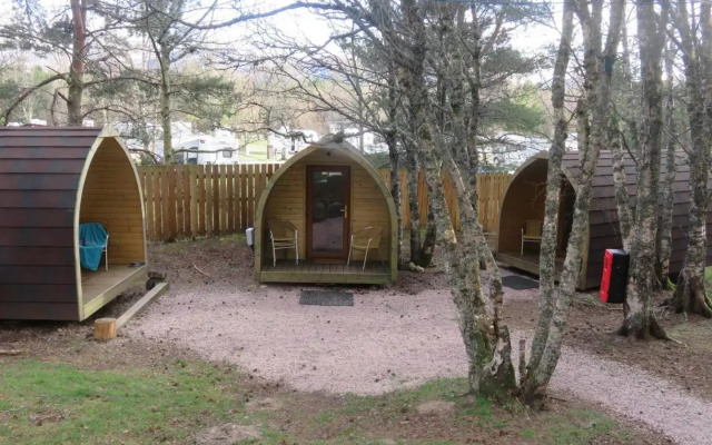 Pine Marten Bar The Pods