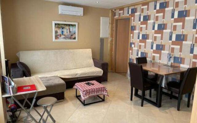 Appartement Centre Ville Colmar 2