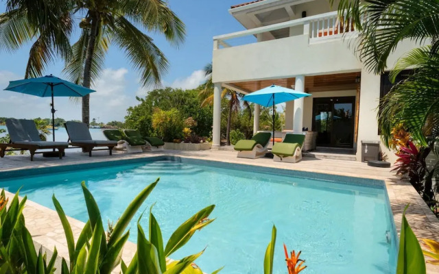 Villa Island Time Gecko