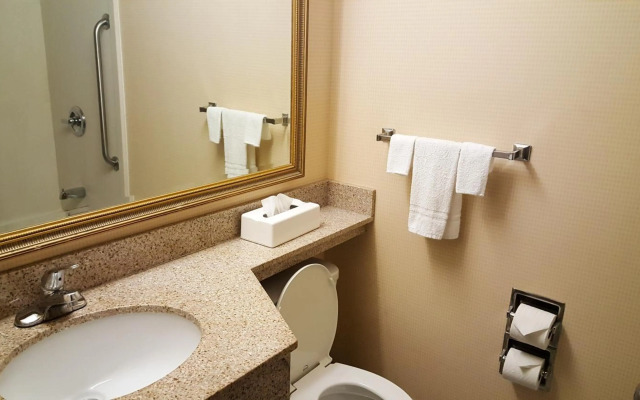 Quality Inn & Suites Charleston - Civic Center