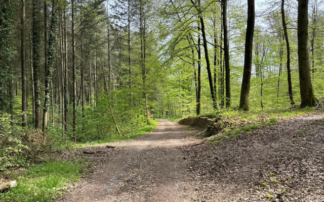 Hotel Gästehaus Sonne