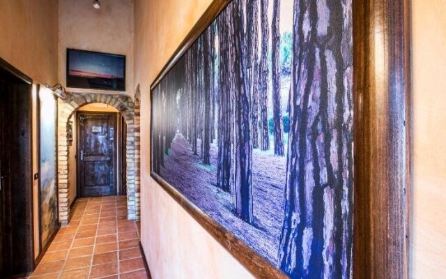 Agriturismo Col Morino