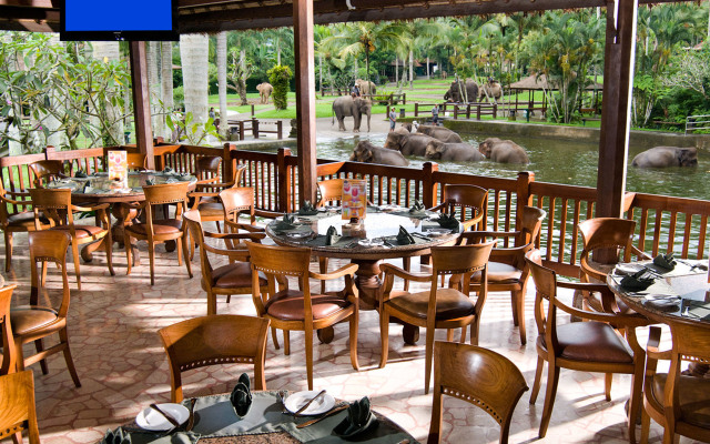 Mason Elephant Lodge