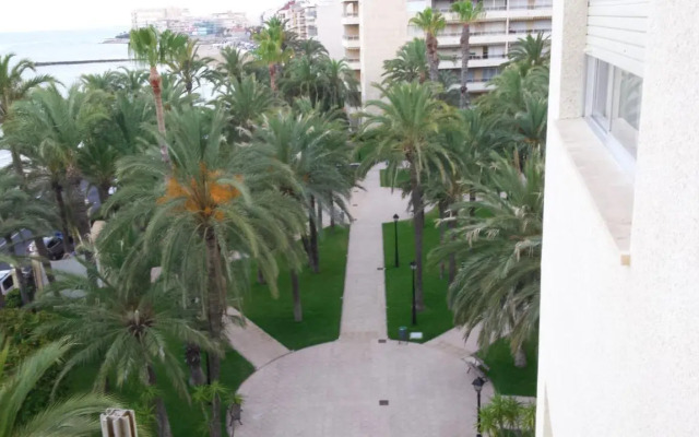 Palmeral de Torrevieja