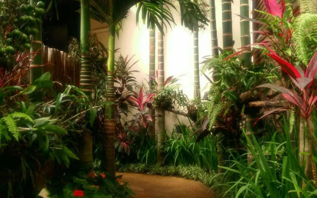 Viang Thapae Resort