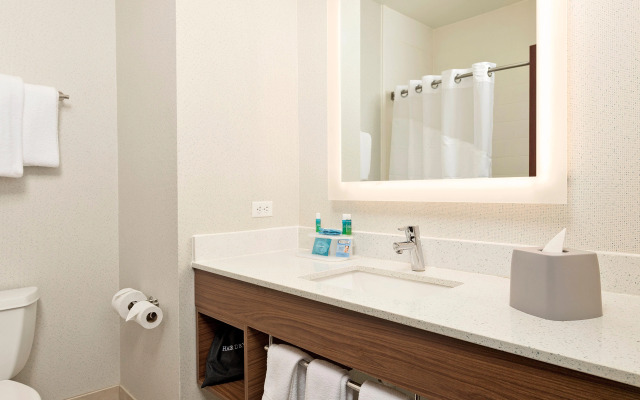 Holiday Inn Express Hotel & Suites Conroe I-45 North by IHG