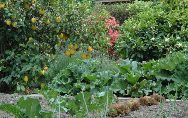Stonehaven Homestay