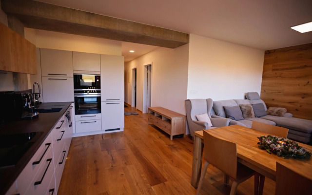 Wellness apartmán Pila Kvilda