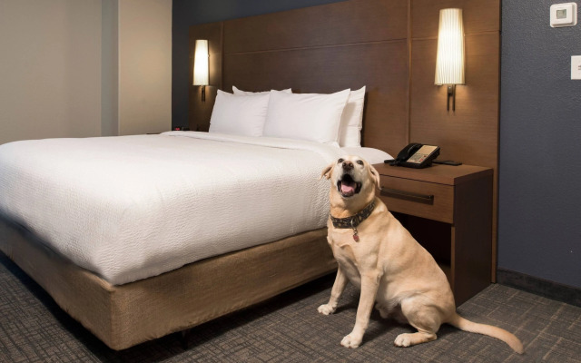 Residence Inn by Marriott Memphis Downtown