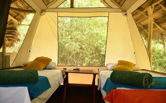 Palpatha Eco Safari Lodge
