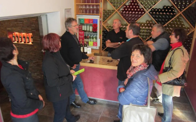 Weingut Apartment Hildegard Gangl