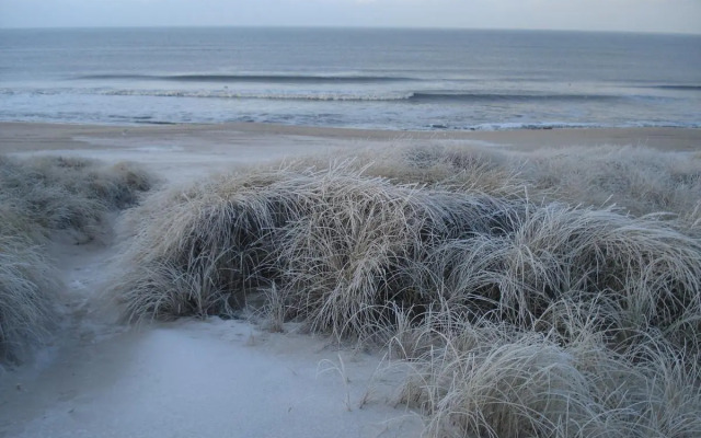 Appartement Kayser Sylt