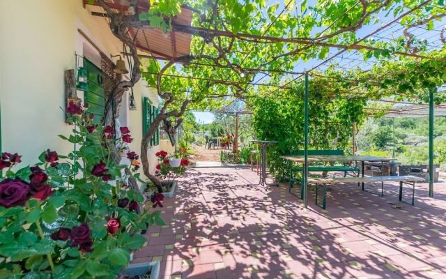 House Green Paradise