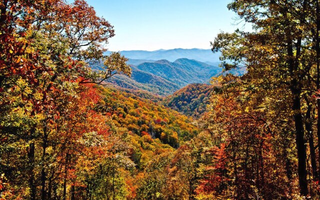 The Great Outdoors - Two Bedroom Cabin