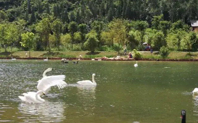 Yuejingyun Lake View Hostel