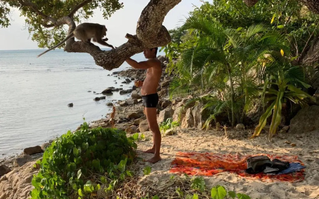 Coconut Beach Bungalows