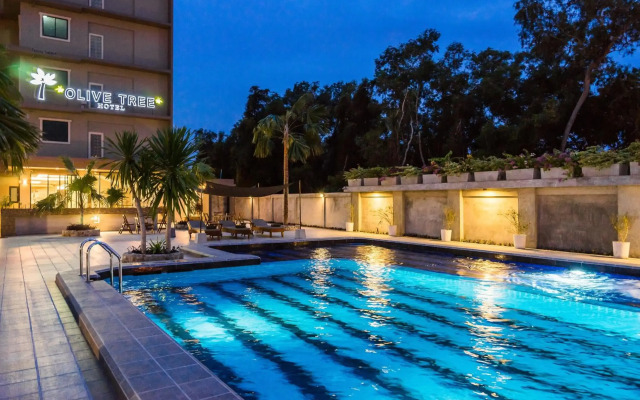Olive Tree Hotel