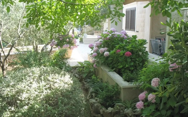 Zlatna - With Beautiful Garden - H