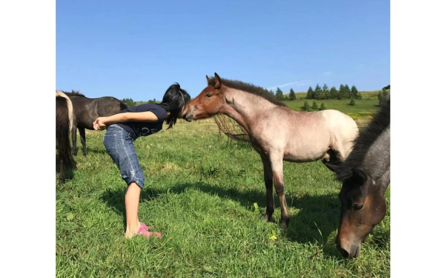 Farm Inn Torch B - Vacation STAY 92724v