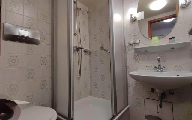 Room in Guest Room - Pension Forelle - Suite