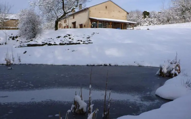 Le Fuligule Morillon