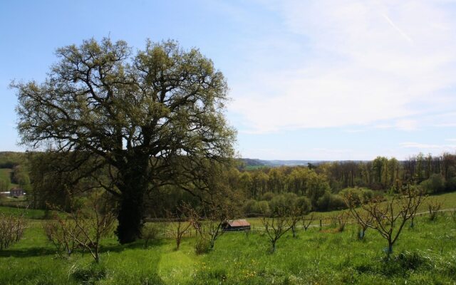 Chambres d'Hôtes Ferme de Berteillé