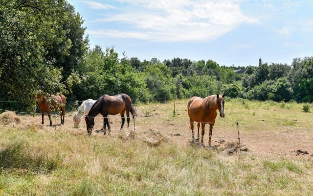 Gite in Holiday Park With Swimming Pool