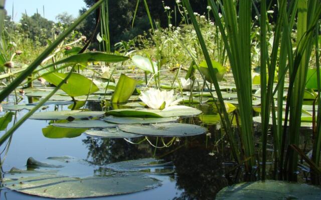 Rural Tourism Family Ravlic