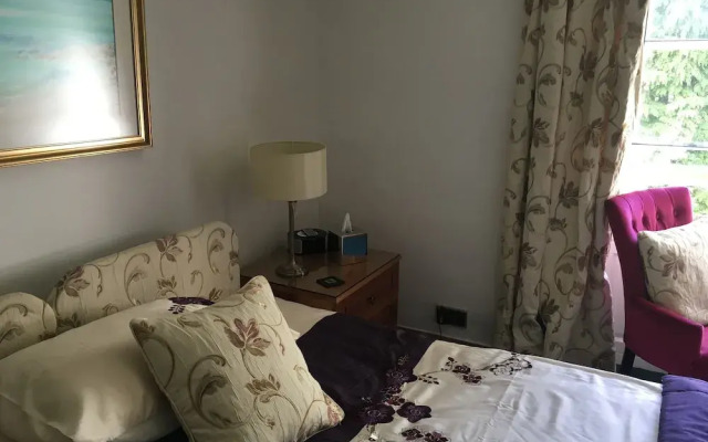 Winkston Holiday Guesthouse