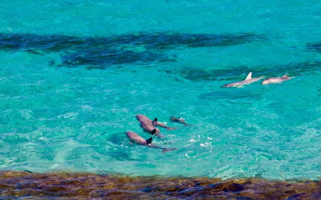 Unwind Kangaroo Island Dreaming