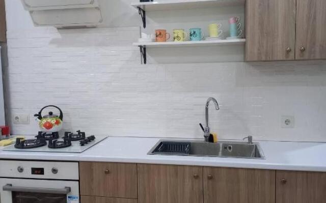 Beautiful house in Samgori