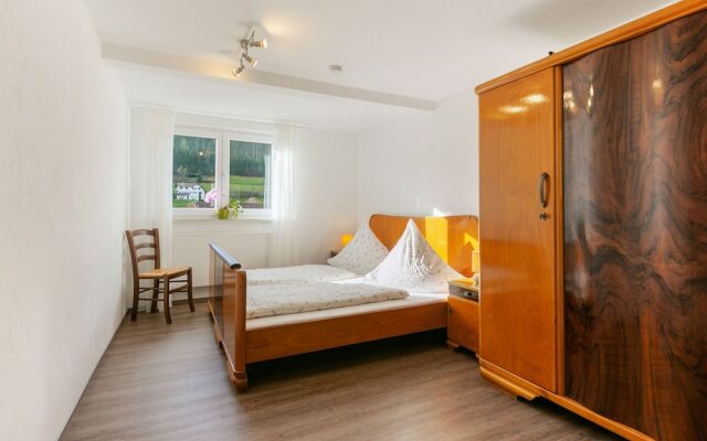 Picturesque Apartment in Baiersbronn With Bar