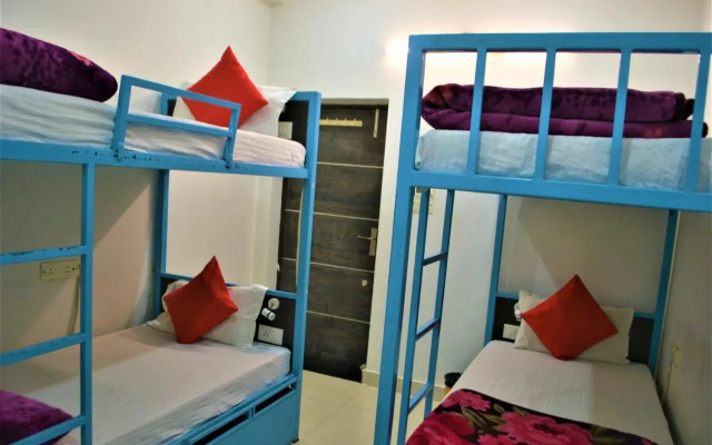 Bedweiser Backpackers Hostel