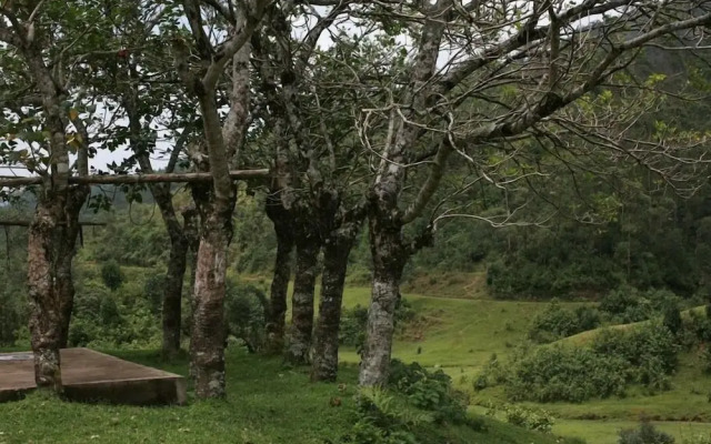 Wild Elephant Eco-Friendly Resort
