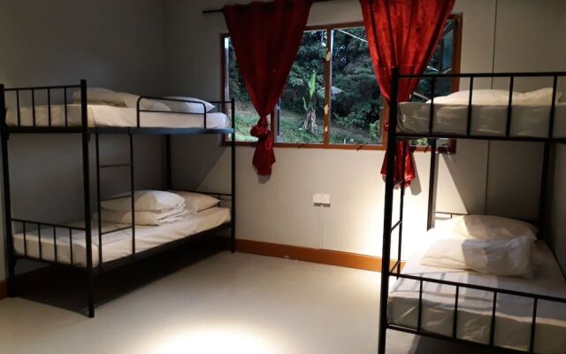 Farm Guest House - Hostel