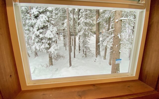 Black Bear #3 2 Bedroom Cabin