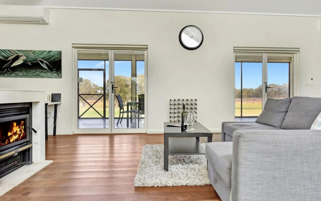 Olives and Vines at Majors Lane