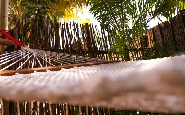Pili Pili House