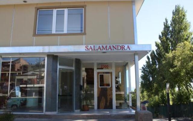 Salamandra Apartamentos