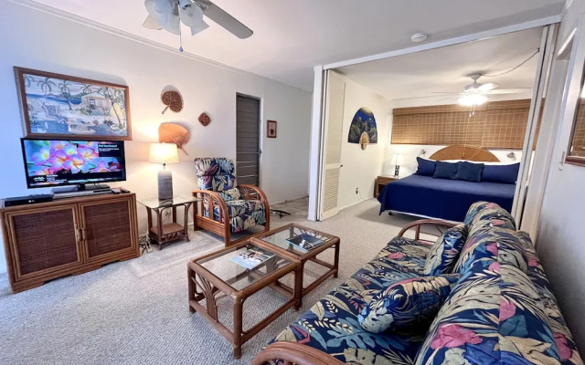 Kona Mansions Ocean Views & Amenities!